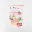 Set de 10 Flores Secas Para Resina/Uñas
