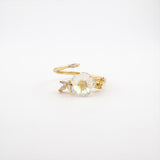 Anillo B #66 Rodinado