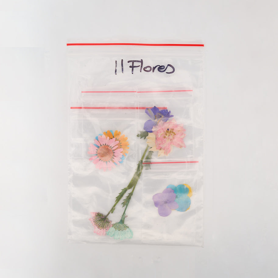 Set de 11 Flores Secas Para Resina/Uñas