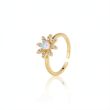 Anillo B #78 Ajustable Flor Boreal Rodinado