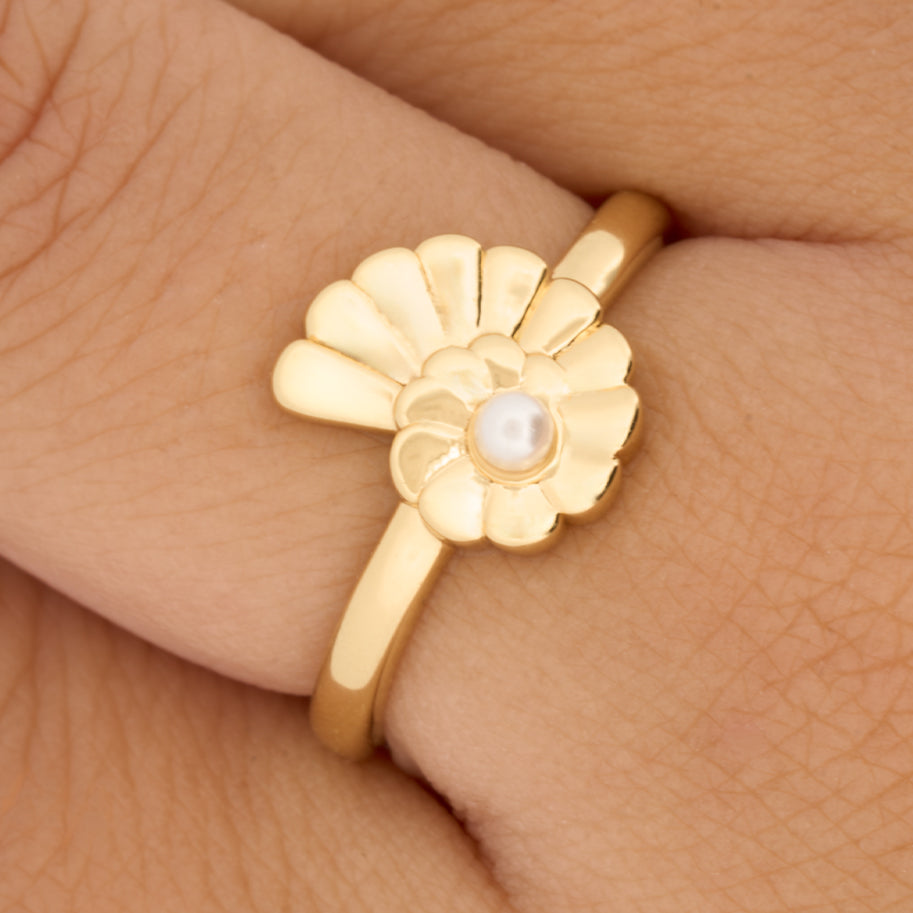 Anillo C #43 Rodinado