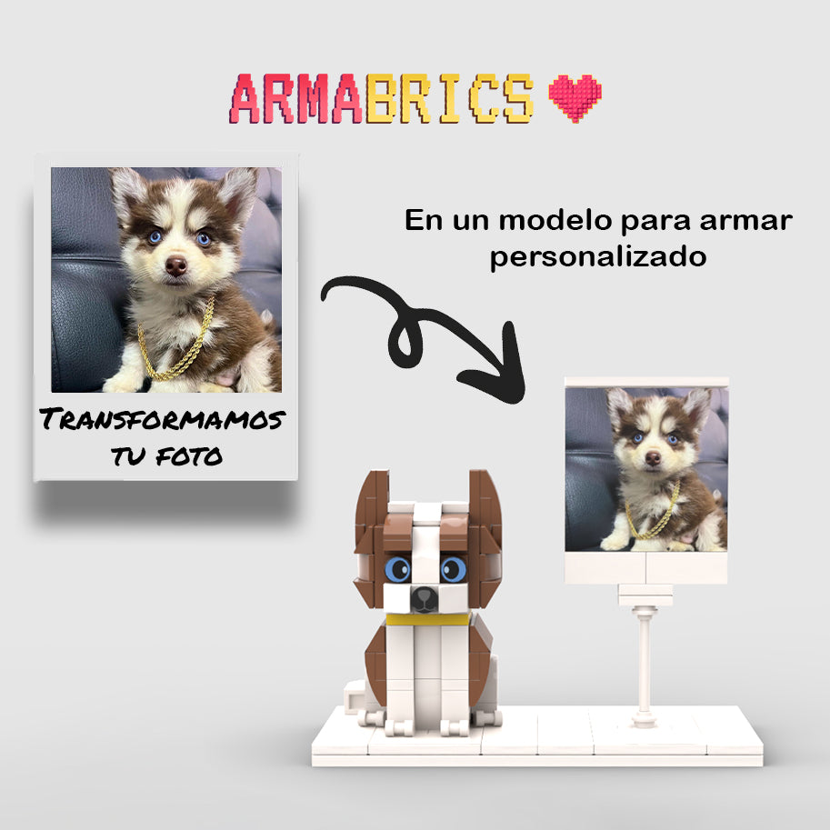 Armabrics 1 Mascota + Foto + Base y Envió Gratis