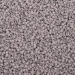 Miyuki Opaque Ghost Gray / 10gr / DB-1139