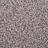 Miyuki Opaque Ghost Gray / 10gr / DB-1139
