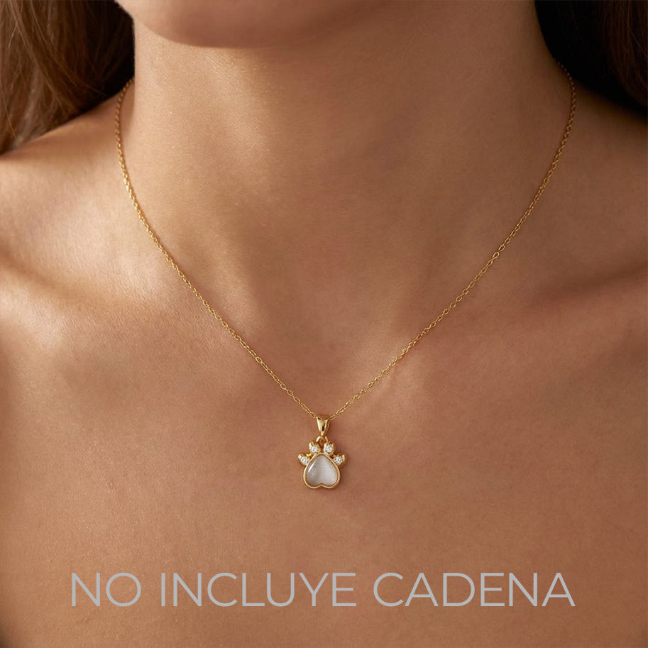 Dije Huella Circones Dorado Rodinado