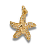 Dije Estrella de Mar Circones Dorado Rodinado