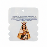 Exhibidor de Cartón para Accesorios / 30