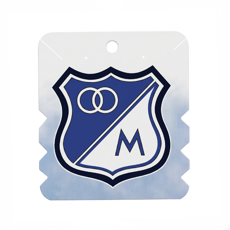 Exhibidor de Cartón para Accesorios / 33