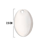 Placa Ovalo Plateado Acero