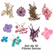 Set de 10 Flores Secas Para Resina/Uñas