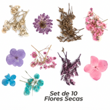 Set de 10 Flores Secas Para Resina/Uñas