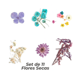 Set de 11 Flores Secas Para Resina/Uñas