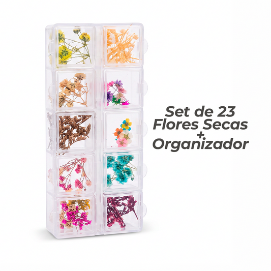 Set de 23 Flores Secas Para Resina/Uñas + Organizador Plástico