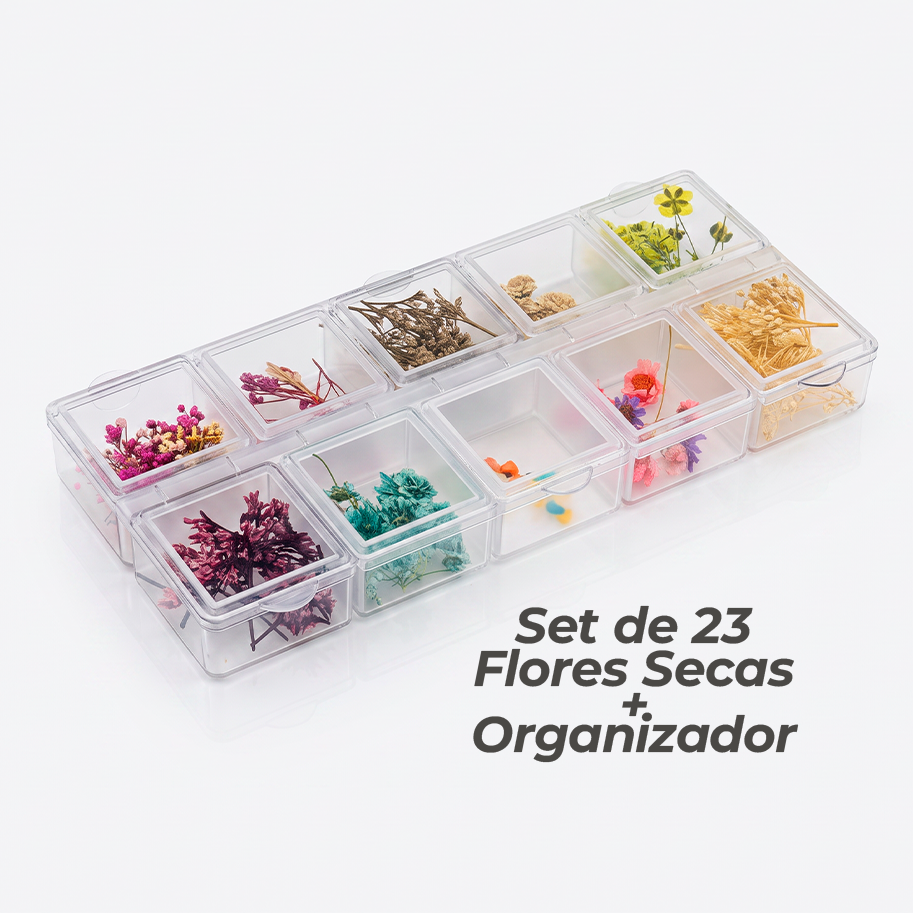 Set de 23 Flores Secas Para Resina/Uñas + Organizador Plástico