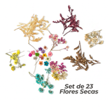 Set de 23 Flores Secas Para Resina/Uñas + Organizador Plástico