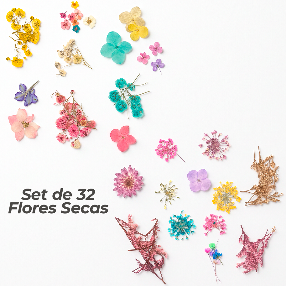 Set de 32 Flores Secas Para Resina/Uñas