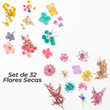 Set de 32 Flores Secas Para Resina/Uñas