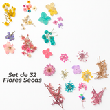 Set de 32 Flores Secas Para Resina/Uñas