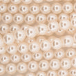 Perla Shell 02 Beige 8mm x Sarta