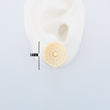 Topos Filigrana 03 Gold Filled / X Par